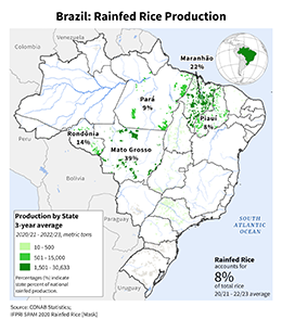 images\BR\seasonalmap\Brazil_Rainfed_Rice_preview.png